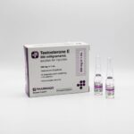 PHARMAQO – TESTOSTERONE-E 300 MG/ML - Image 3